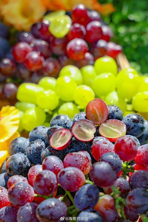 4399小游戏水果连连看怎么能消音啊? 4399小游戏水果连连看怎么能消音啊?