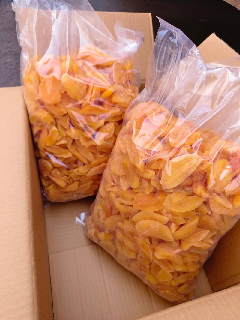 果敢是什么意思?